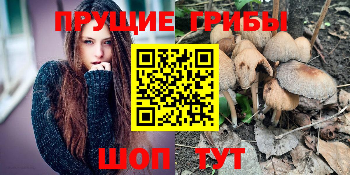 Качканар  Галлюциногенные грибы прущие грибы  Вход с VPN 