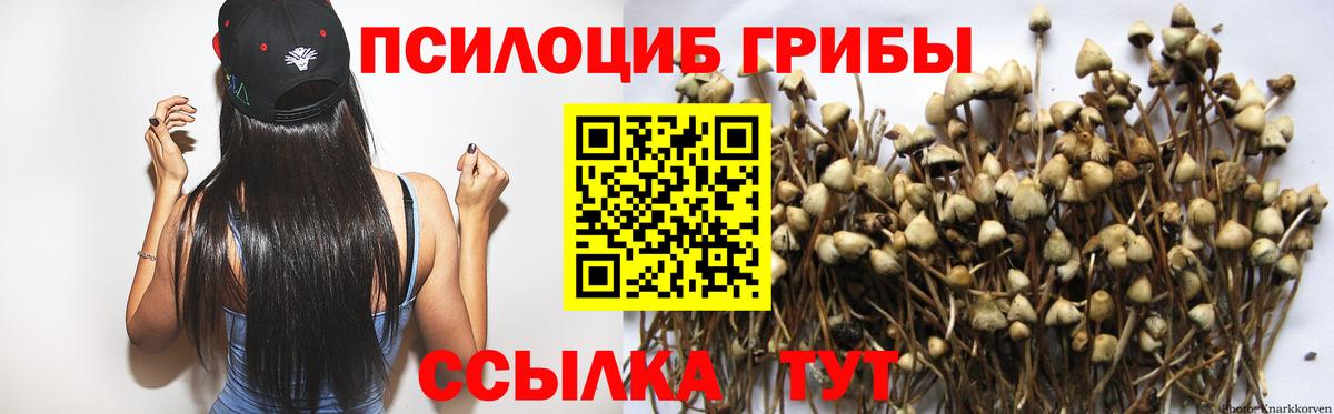 Псилоцибиновые грибы ЛСД Качканар
